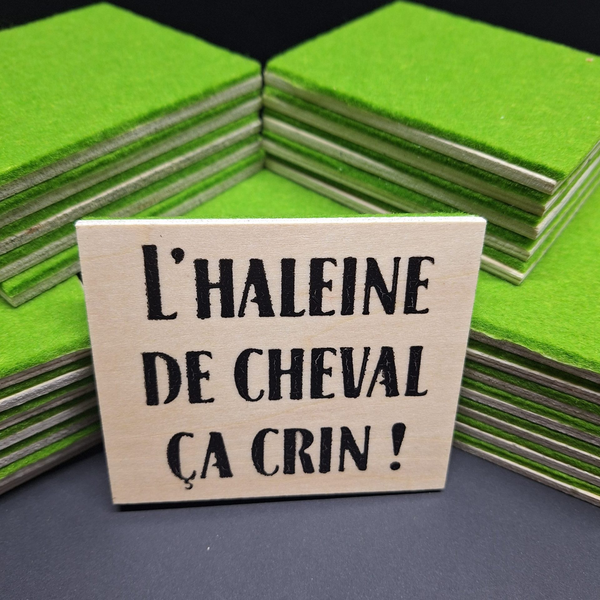 L'haleine de cheval ça crin ! 1 L'haleine de cheval ca crin